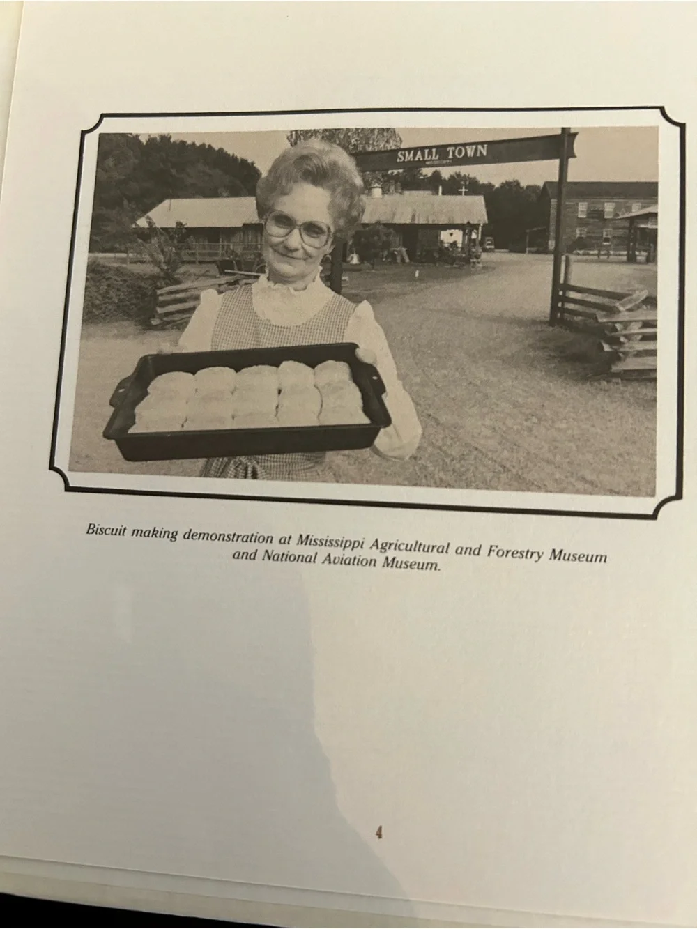 A Cook's Tour of Mississippi Cookbook - Vintage Cookbook